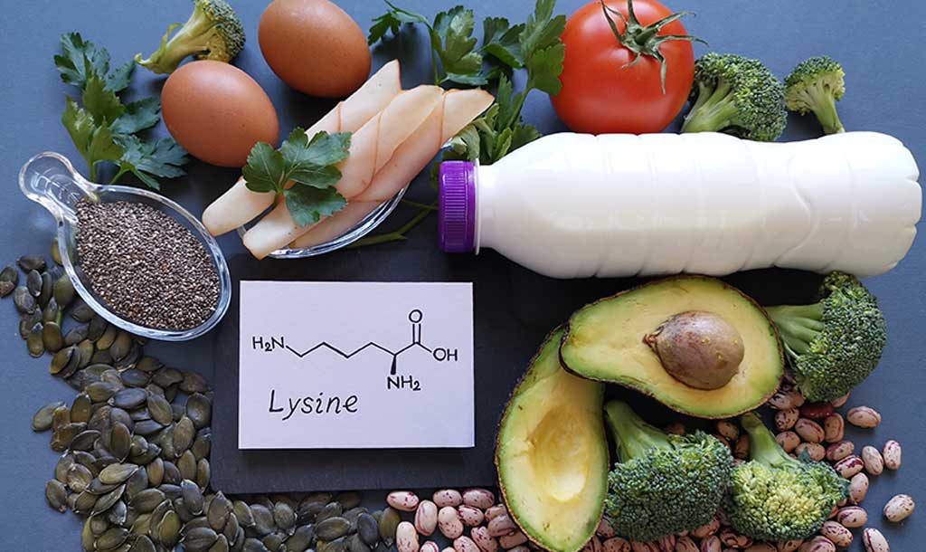 Image pour l'article 'Mécanismes biologiques du jeûne intermittent pour maigrir'